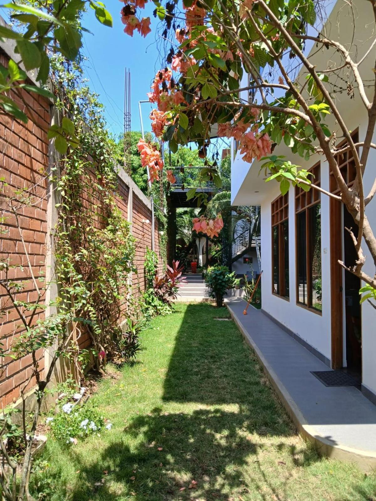 Alojamiento Familiar Custodia Tarapoto Kültér fotó