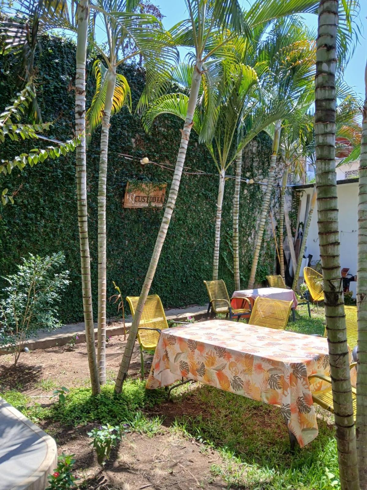 Alojamiento Familiar Custodia Tarapoto Kültér fotó