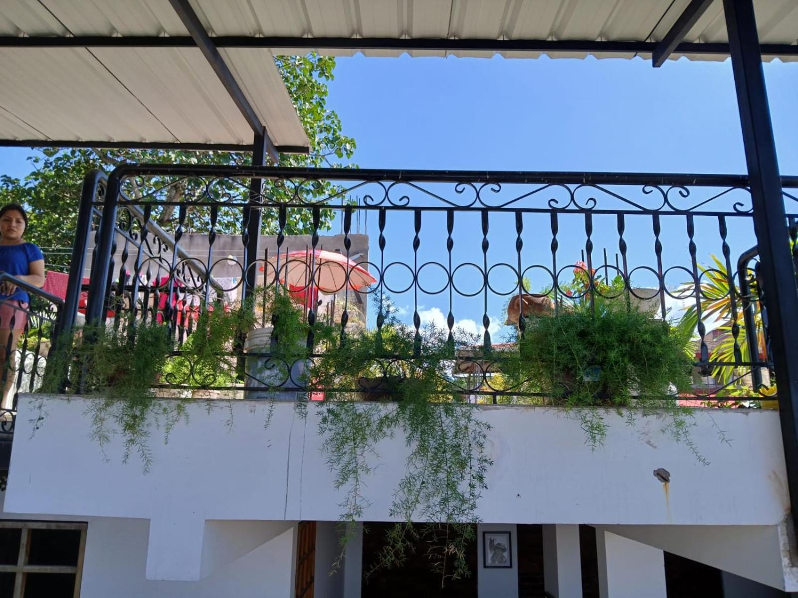 Alojamiento Familiar Custodia Tarapoto Kültér fotó