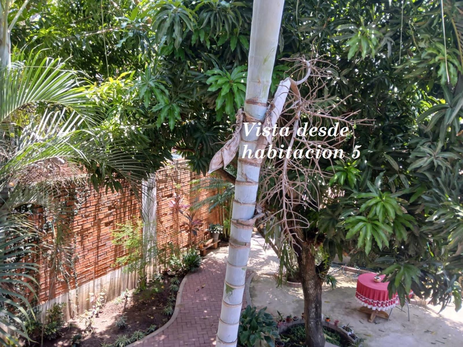 Alojamiento Familiar Custodia Tarapoto Kültér fotó